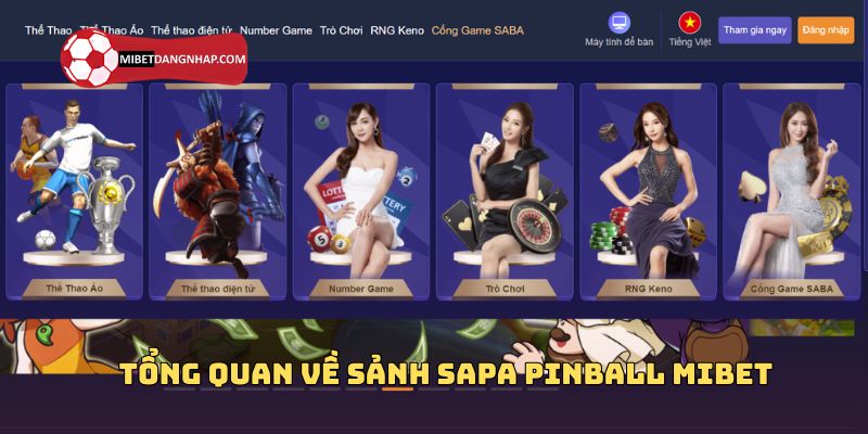 Tổng quan về sảnh Sapa Pinball Mibet