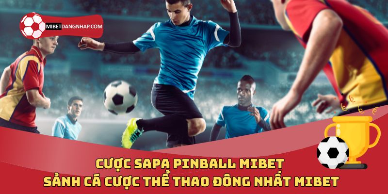 Cược Sapa Pinball Mibet – Sảnh Cá Cược Thể Thao Đông Nhất Mibet