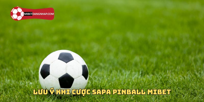 Lưu ý khi cược Sapa Pinball Mibet