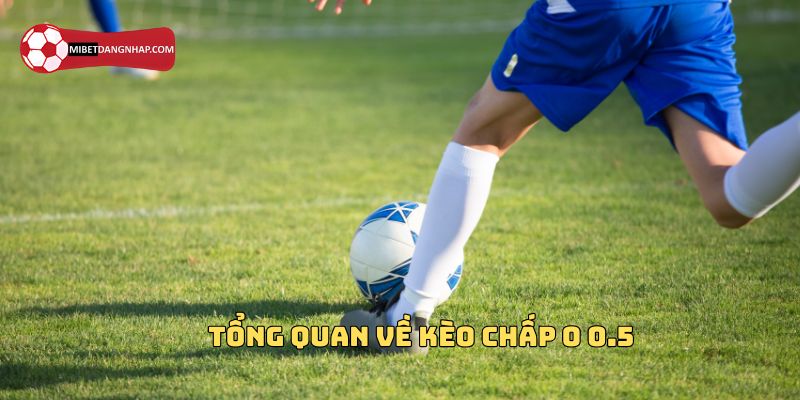 Tổng quan về kèo chấp 0 0.5