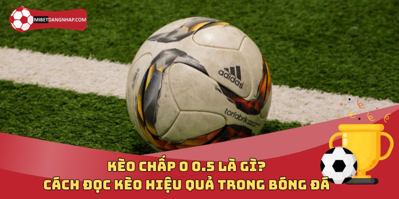 Kèo Chấp 0 0.5 Là Gì? Cách Đọc Kèo Hiệu Quả Trong Bóng Đá