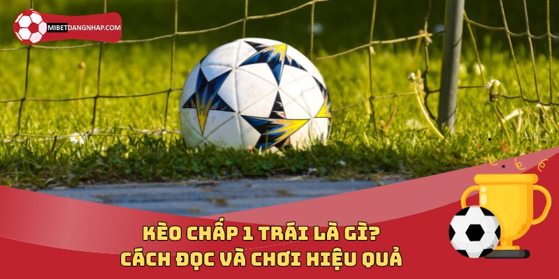 Kèo Chấp 1 Trái Là Gì? Cách Đọc Và Chơi Hiệu Quả