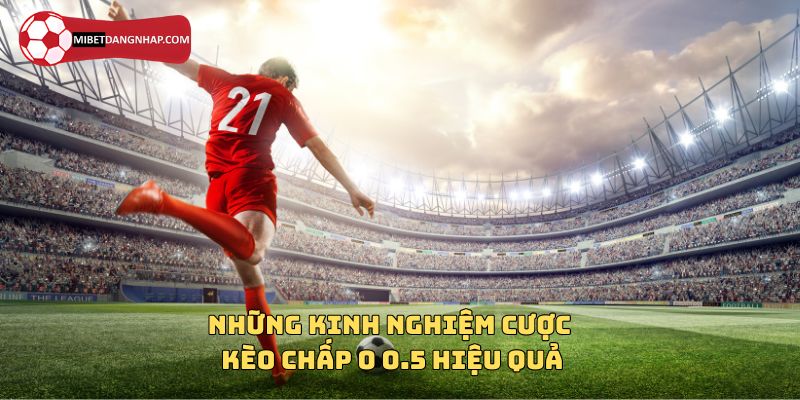 Những kinh nghiệm cược kèo chấp 0 0.5 hiệu quả