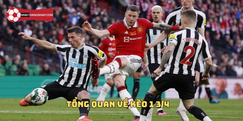 Tổng quan về kèo 1 3/4