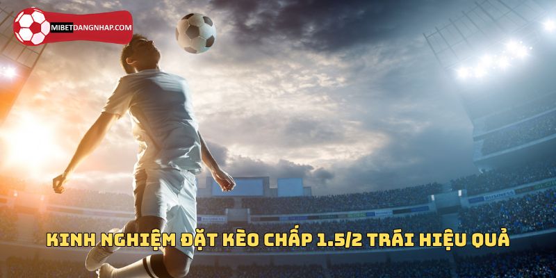 Kinh nghiệm đặt kèo chấp 1.5/2 trái hiệu quả từ chuyên gia